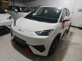 比亚迪 海鸥 2025款 智驾版 305km 活力版