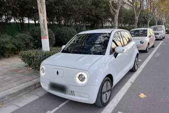 欧拉黑猫 2021款 301km 基础型