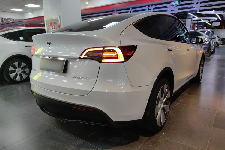特斯拉 Model Y 2021款 长续航全轮驱动版车身外观7