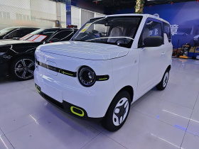 吉利银河 熊猫 2025款 210km 元气熊