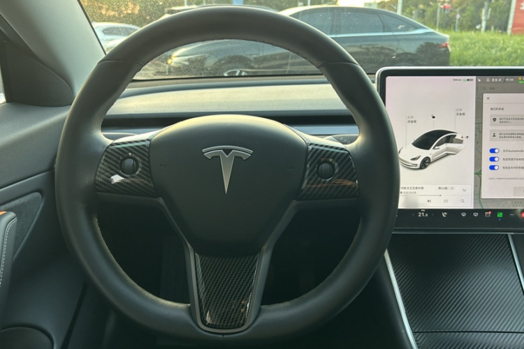 特斯拉 Model 3(进口) 2019款 长续航后驱版局部细节13