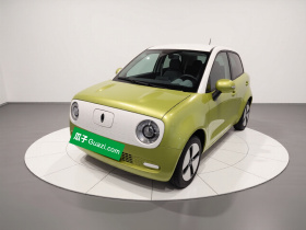 欧拉黑猫 2021款 301km 基础型