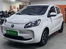 长安欧尚 奔奔E-Star 2021款 国民版 多彩款 磷酸铁锂（31.95kWh）