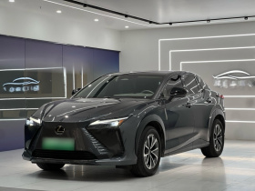 雷克萨斯RZ 2023款 450e 四驱纵享版
