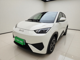 比亚迪 海鸥 2025款 智驾版 305km 活力版