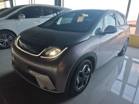 比亚迪 海豚 2021款 405km 时尚版