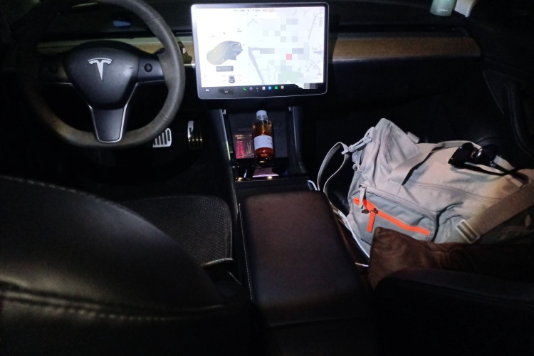 特斯拉 Model 3 2019款 标准续航后驱升级版中控内饰12