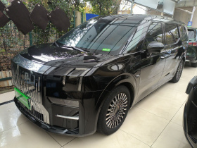 极氪009 2022款 WE版