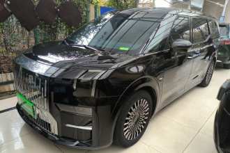 极氪009 2022款 WE版