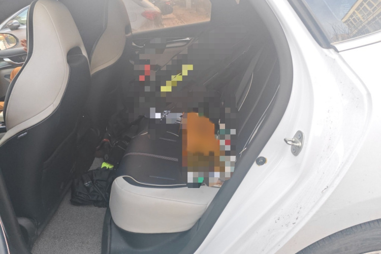 比亚迪 秦PLUS 2021款 EV 500KM 尊贵型中控内饰7004