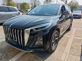 红旗HS3 2023款 1.5T 两驱善为版