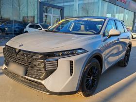 启辰大V 2023款 260T 爱豆版 Pro