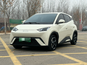 比亚迪 海鸥 2023款 自由版