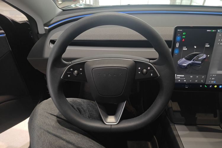 特斯拉 Model 3 2023款 后轮驱动版中控内饰13