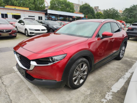 马自达CX-30 2020款 2.0L 自动雅悦型
