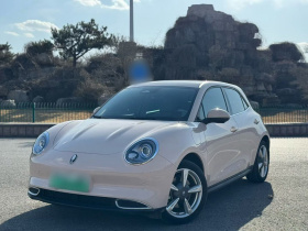 欧拉好猫 2023款 401km标准续航 豪华型 磷酸铁锂