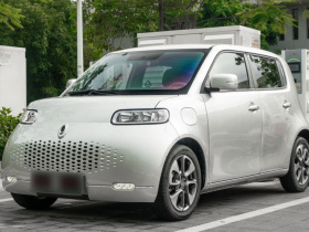 欧拉白猫 2020款 305km 豪华型