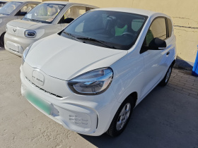 荣威 科莱威CLEVER 2021款 302km全能版