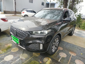 魏牌 VV6 2020款 2.0T 两驱智享+