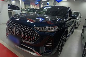 魏牌 摩卡 2021款 2.0T 两驱特醇版