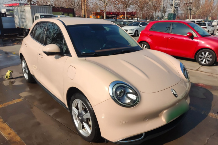 欧拉好猫 2022款 400km标准续航 豪华型 三元锂车身外观3