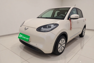 五菱汽车 五菱缤果 2023款 203km 轻享款