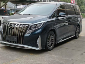 广汽传祺 传祺M8 2021款 大师系列 390T 至尊版