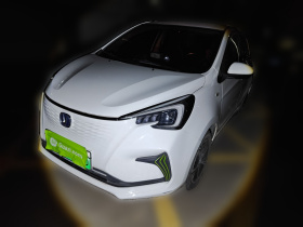 长安欧尚 奔奔E-Star 2020款 心动版 三元锂