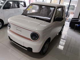 吉利银河 2024款 熊猫mini 200km 耐力熊