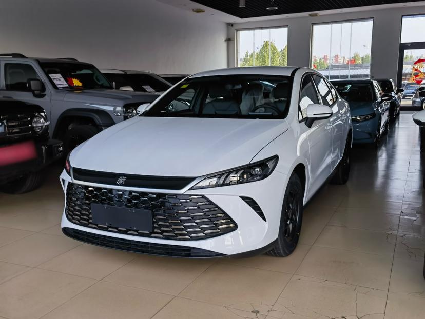 比亚迪 秦PLUS 2025款 DM-i 智驾版 55KM领先型