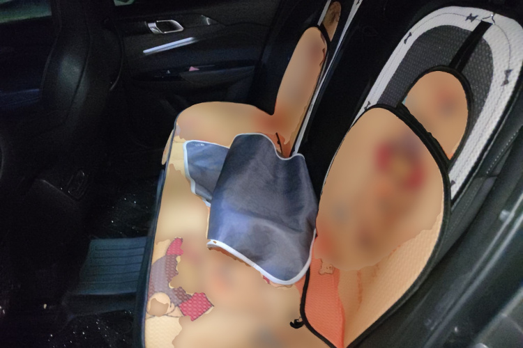 领克03 2022款 2.0TD DCT劲Pro中控内饰21