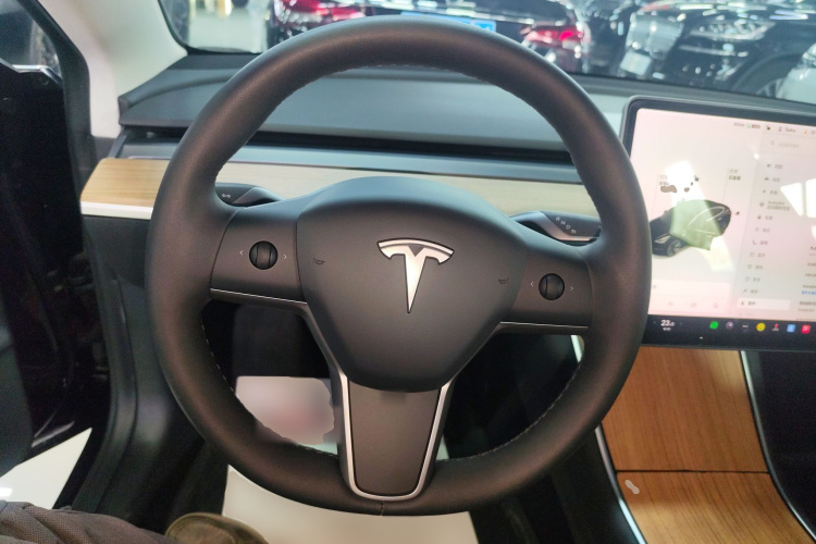 特斯拉 Model 3 2020款 改款 标准续航后驱升级版中控内饰13