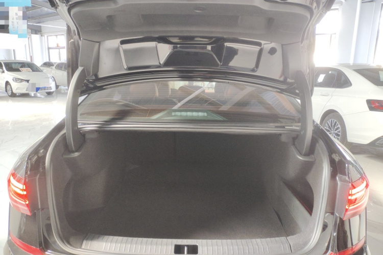 大众 帕萨特 2023款 改款 280TSI 商务版局部细节23