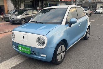 欧拉黑猫 2021款 301km 基础型