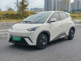 比亚迪 海鸥 2023款 活力版