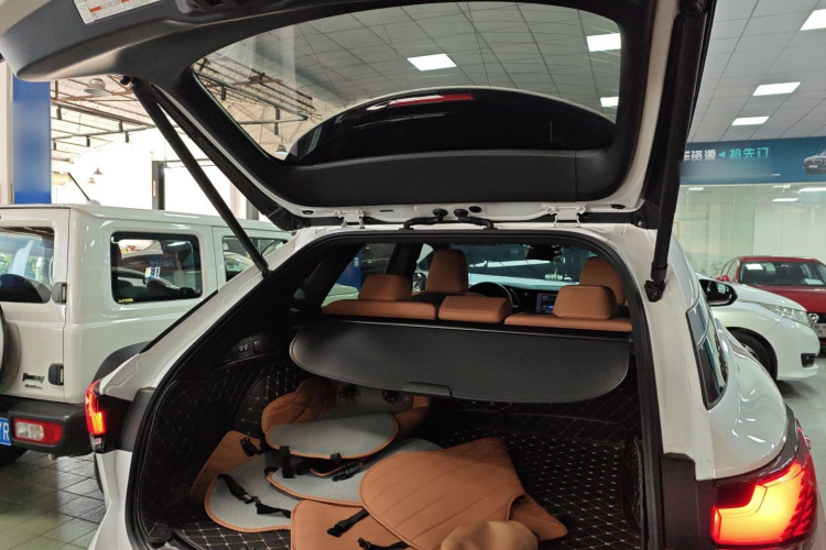 雷克萨斯RX 2023款 350h 两驱悦享版局部细节23