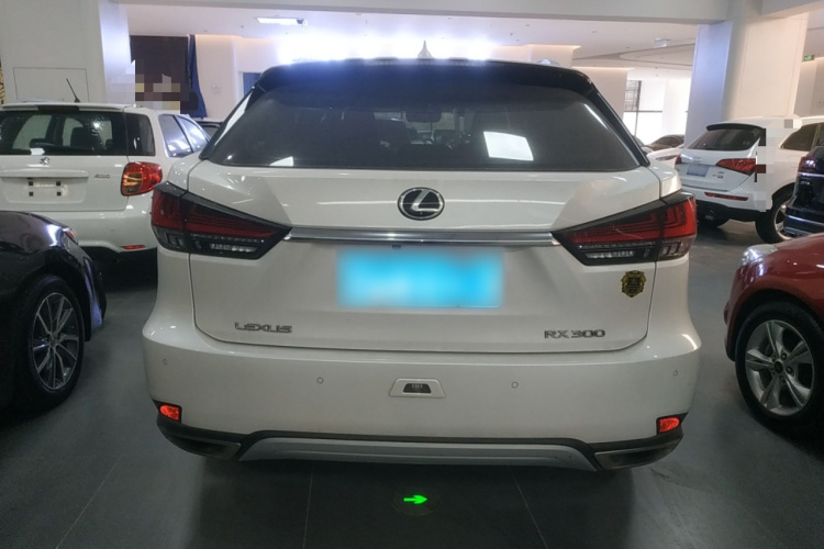 雷克萨斯RX 2020款 300 两驱精英版 国VI车身外观6004
