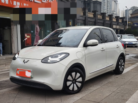 五菱汽车 五菱缤果 2023款 333km 悦享+款