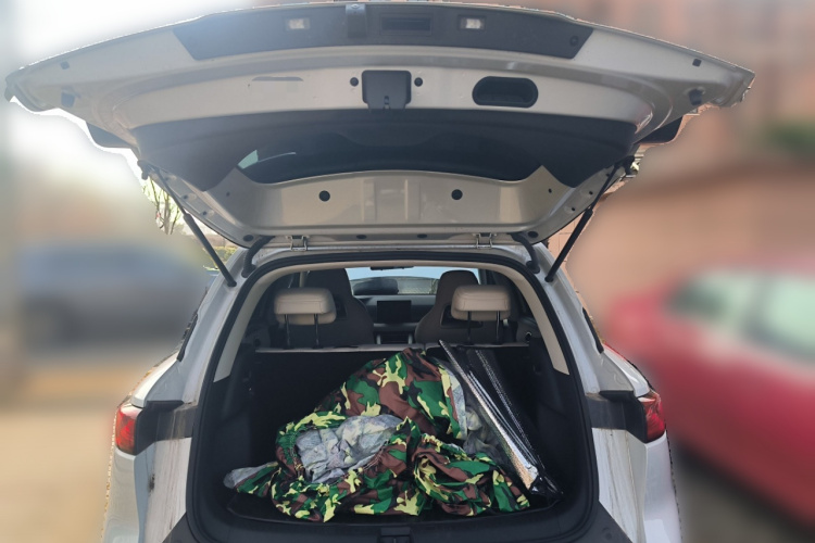 比亚迪 元UP 2024款  401KM 活力版中控内饰23