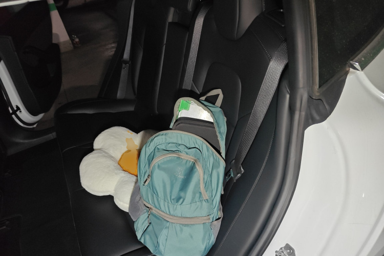 特斯拉 Model 3 2020款 改款 长续航后轮驱动版中控内饰21