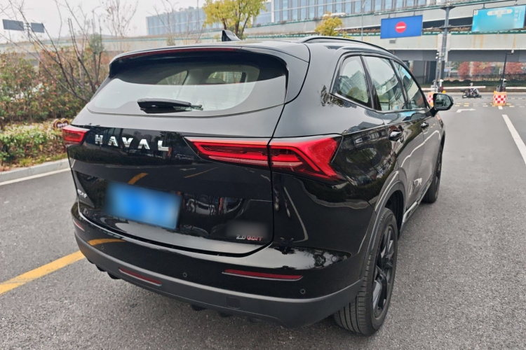 哈弗H6 2024款 2.0T 四驱Max车身外观6005