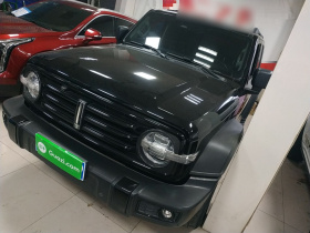 坦克300 2021款 越野版 2.0T 征服者