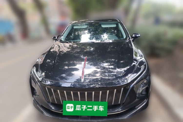 红旗E-QM5 2022款 431km 充电乐享版车身外观6001