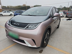 比亚迪 海豚 2021款 405km 时尚版