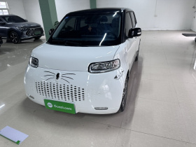 欧拉白猫 2020款 305km 豪华型