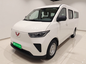 五菱汽车 五菱扬光 2024款 300KM 舒适型客车版 75kW