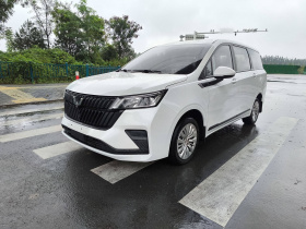 五菱汽车 五菱佳辰 2022款 1.5L 手动乐享精英型