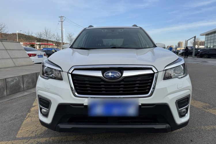 斯巴鲁 森林人 2019款 2.0i 豪华版EyeSight车身外观6005