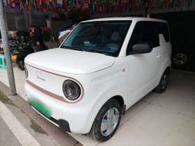 吉利银河 2024款 熊猫mini 200km 耐力熊
