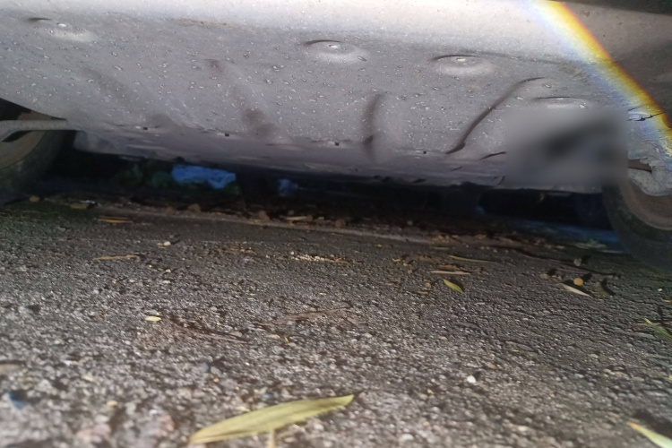 宝马1系(进口) 2013款 改款 116i 领先型局部细节9008